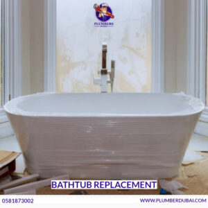 Bathtub Replacement