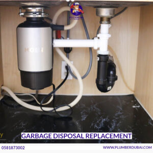 Garbage Disposal Replacement