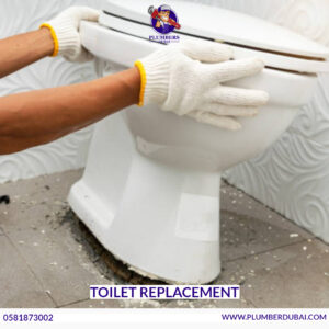 Toilet Replacement