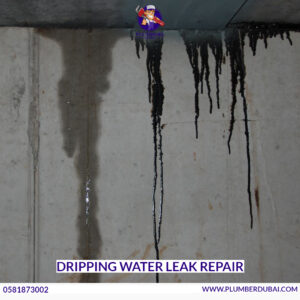 Dripping Water Leak Repair