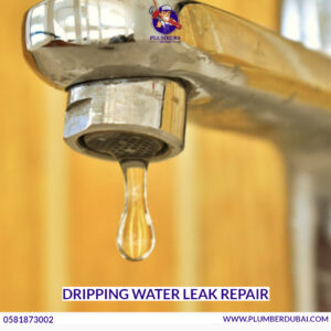 Dripping Water Leak Repair