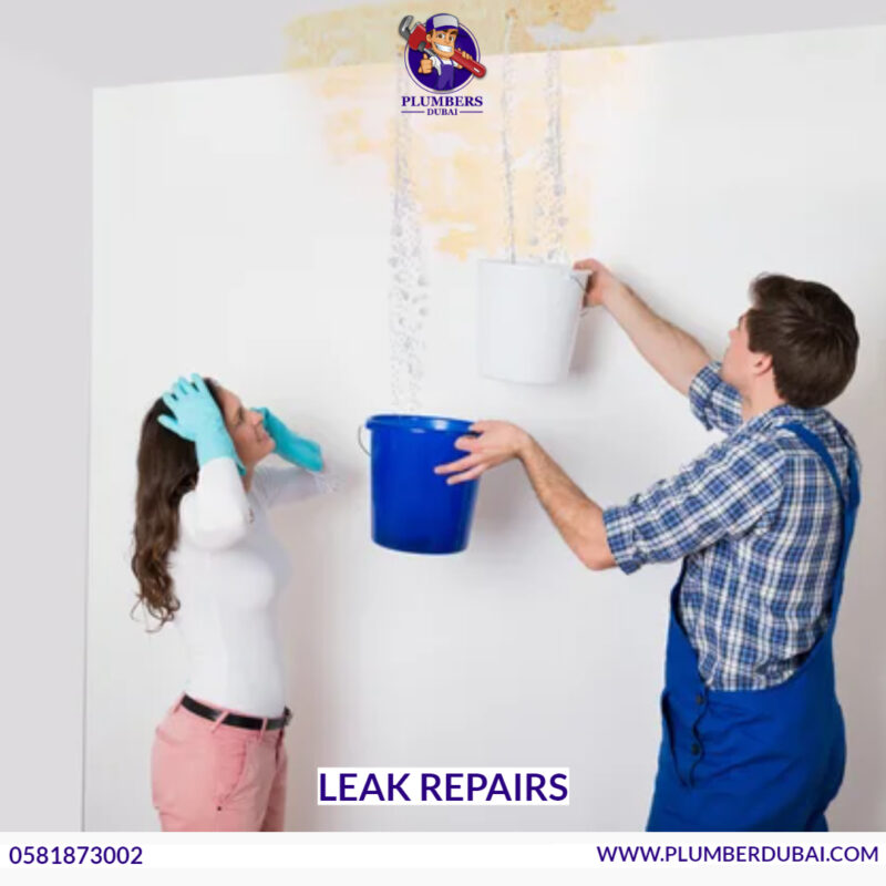 Leak Repairs