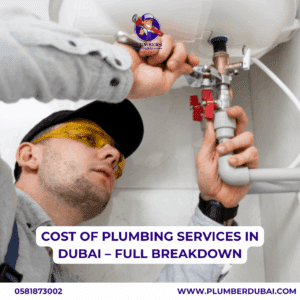 Plumber providing a cost estimate at a Dubai property